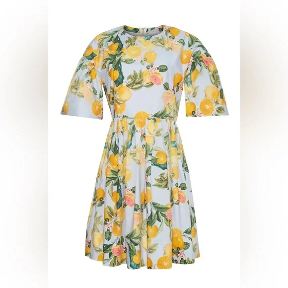 Cara Cara Carla Dress Country Air Lemon Citrus pattern sz 2 - Picture 1 of 4